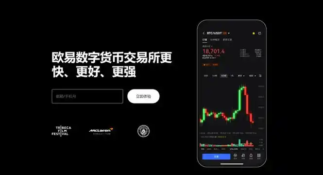 下载ok客户端系统展示图